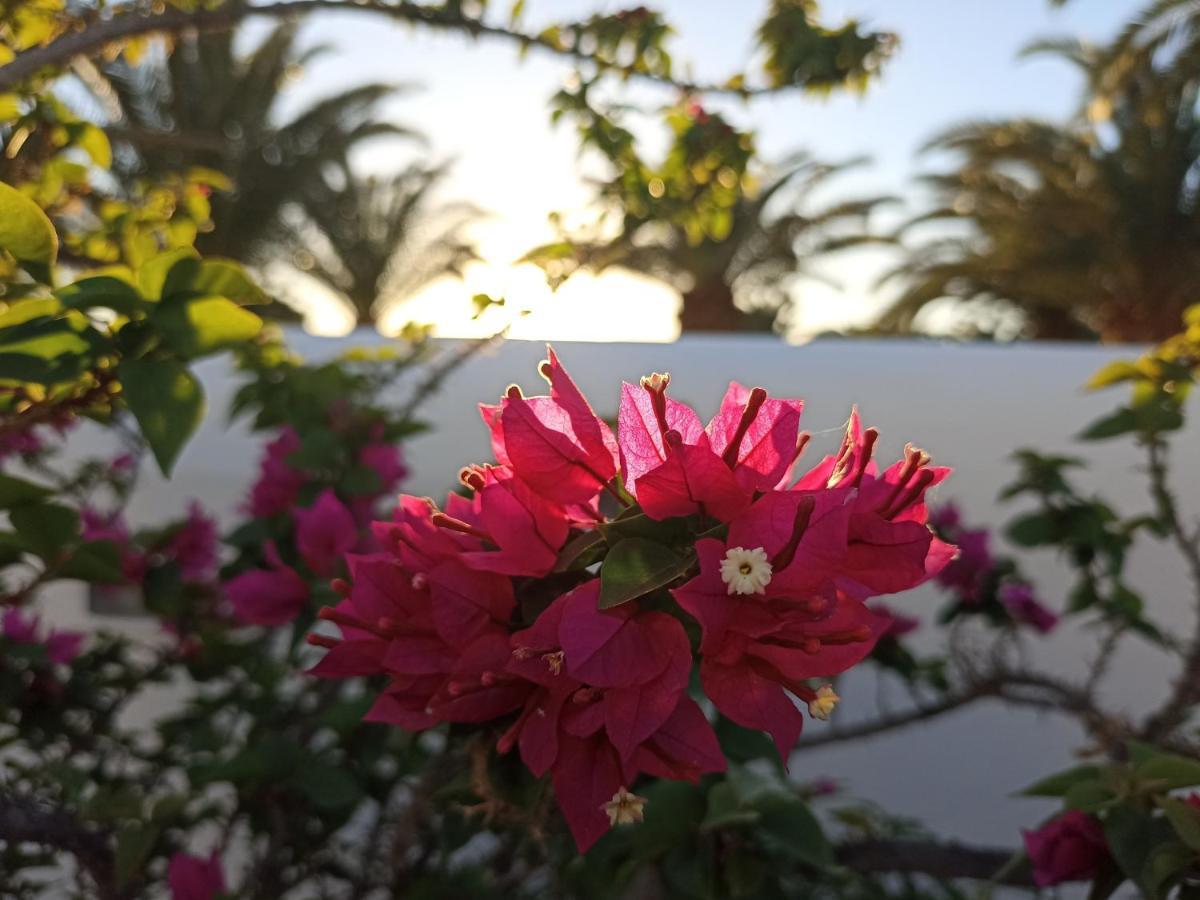 Casa Rosa Villa Puerto Calero Dış mekan fotoğraf